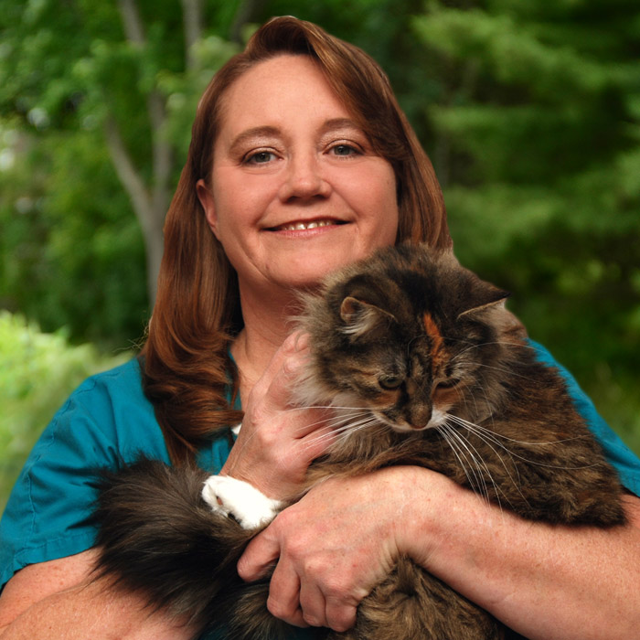 Staff All Creatures Small Animal Hospital Janesville WI