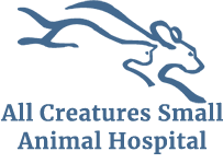 All Creatures Small Animal Hospital