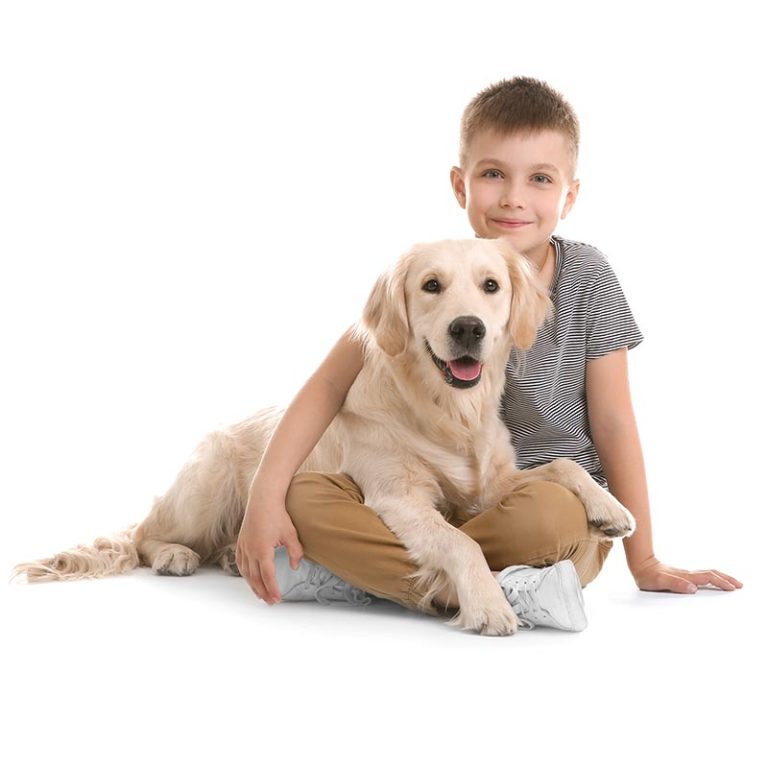 Contact Our Hospital All Creatures Small Animal Hospital