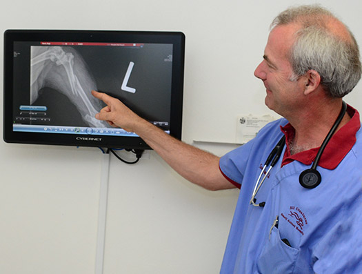 Digital X-Ray Veterinary Services